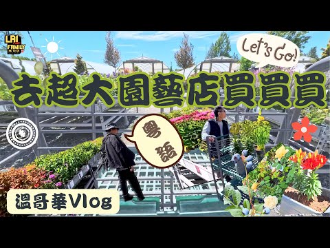 兩老去超大園藝￼店搗蛋