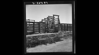 Icelandic American Folk Music (CA): Heimforin til Islands -- 1930 = A trip home to Ice