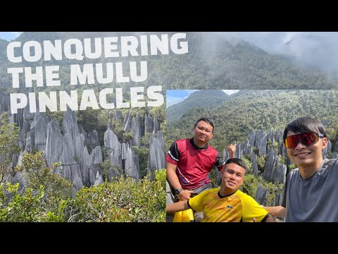 Exploring Mulu Pinnacles & Caves : Sarawak's Hidden Gem | Epic 4D3N Adventure!