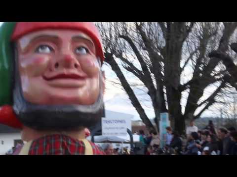 CARNAVAL DA CRIANÇA EM CABANAS DE VIRIATO 26-02-2017