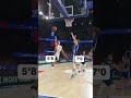 When Skill Meets Size