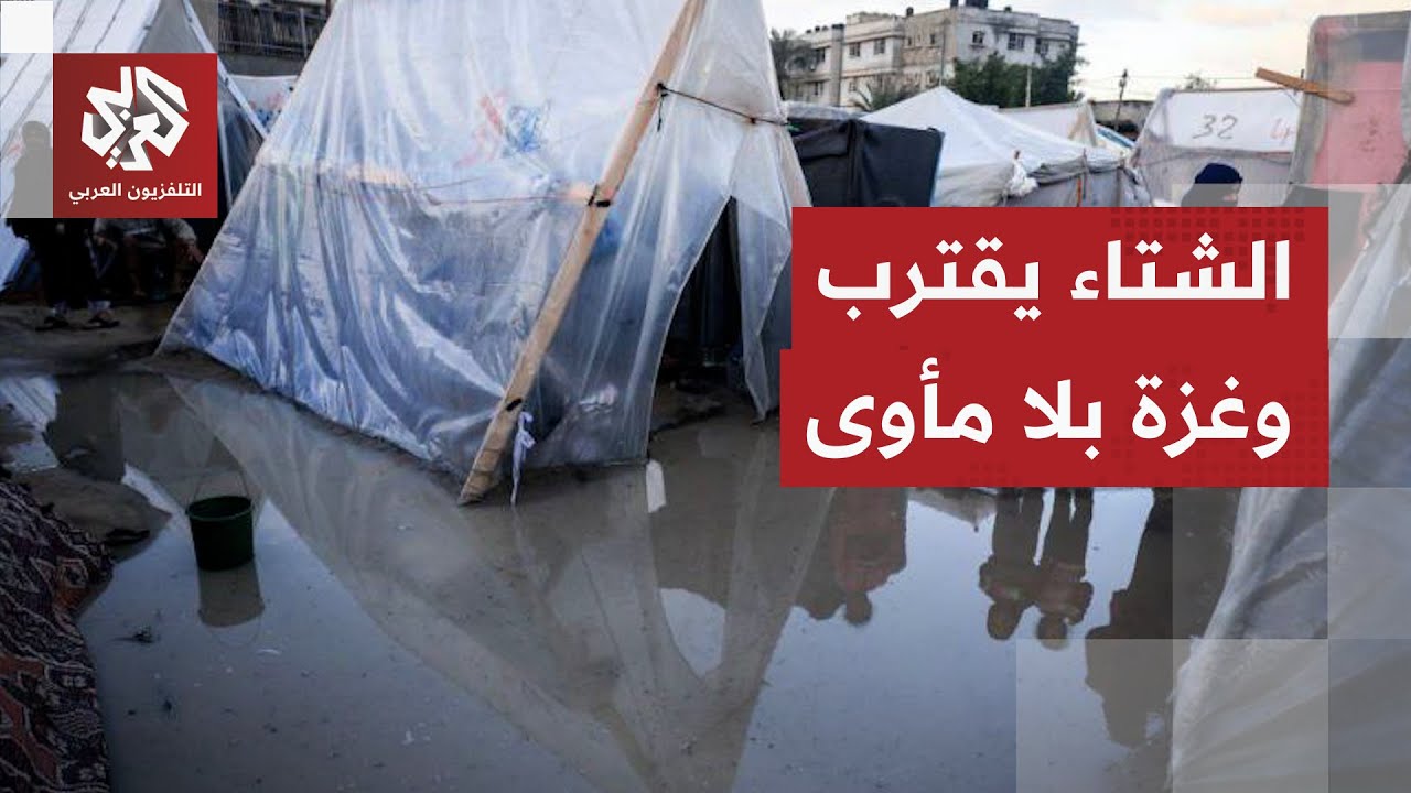 مدير شبكة المنظمات الأهلية: ما يدخل من شاحنات المساعدات إلى قطاع غزة لا يتعدى