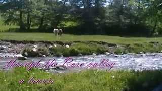 through the Rose valley / a través del valle de las Rosas