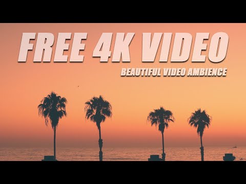 Oceanside California Sunset / Palm Trees / Free 4K Video