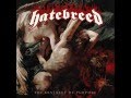Hatebreed - Idolized and Vilified