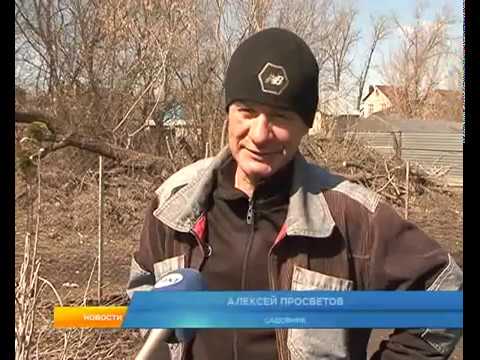 Курские дачники не верят, что &laquo;Раундап&raquo; вызывает рак