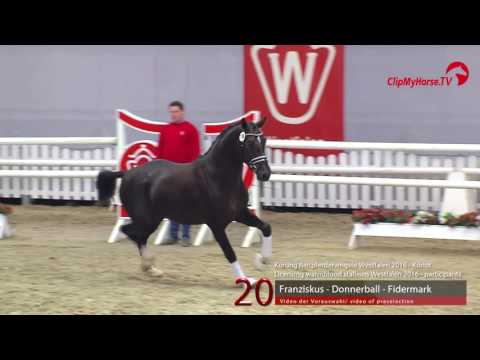 20  Franziskus - Donnerball - Fidermark