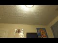 Opening To Bob The Builder The Golden Hammer The Movie 2010 DVD