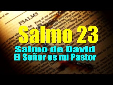 SALMO 23 EL SEÑOR ES MI PASTOR ORACIÓN PODEROSA