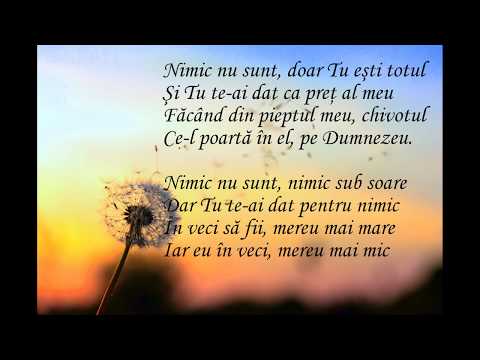 Vali Pentea Sava - Nimic nu sunt, un strop de tină