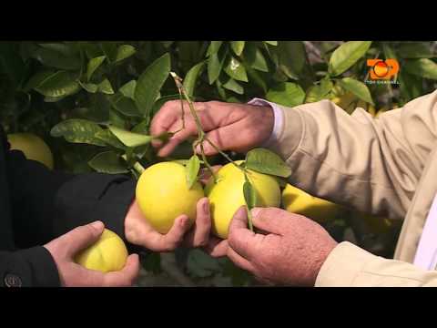 Ne Shtepine Tone, 7 Janar 2016, Pjesa 2 - Top Channel Albania - Entertainment Show