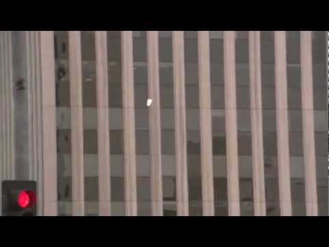 The Majestic Plastic Bag