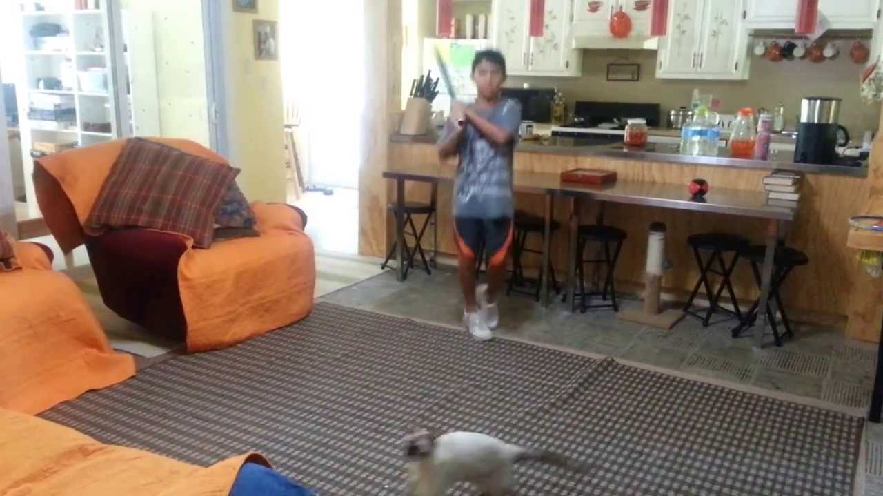 Fun Training Videos v12