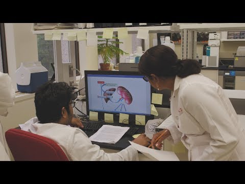 Does bacteria in your gut impact blood pressure?