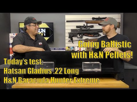 AirgunWebTV Going Ballistic - Hatsan Gladius shooting H\u0026N Baracuda Hunter Extreme Pellets