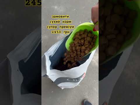 Quattro Maxi Beef сухой корм для взрослых собак крупных пород с говядиной, 15 кг - фото 2 - id-p3084957828