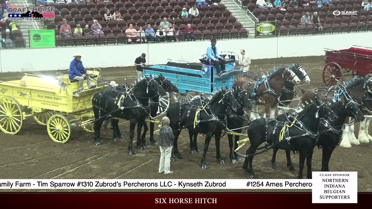 Friday Six - Horse Hitch