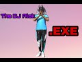 The DJ ALOK EXE
