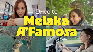 マレーシアチャイニーズホリデーのドライブ&TRIP😁