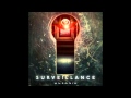 Surveillance - Voyeur 