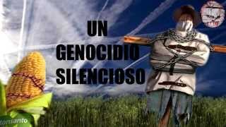 Monsanto.Un genocidio silencioso