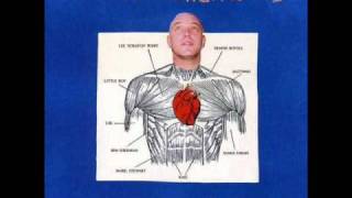 Adrian Sherwood - Sans Toupee