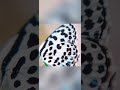 Nature Photography Video Loveandlife