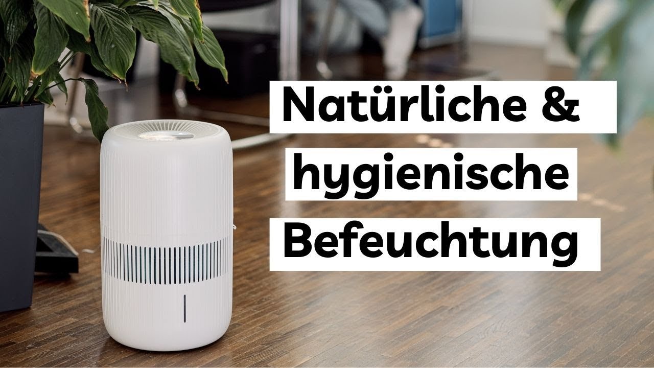 Ecofort Luftbefeuchter ecoQ HumidAir E600+ Black