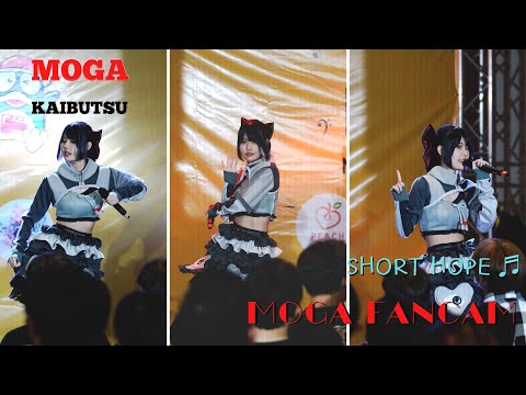20220507 KAIBUTSU - Moga KAIBUTSU Short hope ♬ Donki Idol day @Donki 4k Fancam