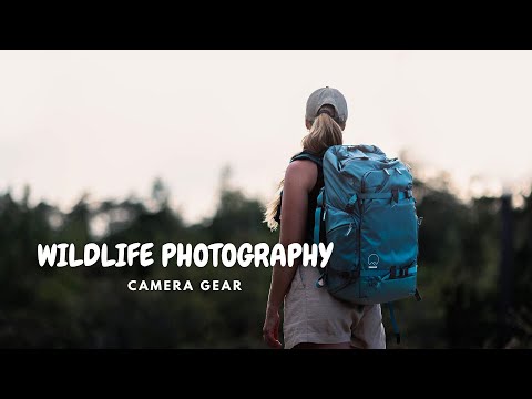 What's In My Camera Bag - As A Wildlife Photographer