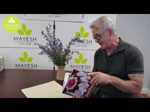 download lagu mp3 mp4 Best Floristry Books, download lagu Best Floristry Books gratis, unduh video klip Best Floristry Books