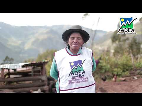 Testimonio de cliente