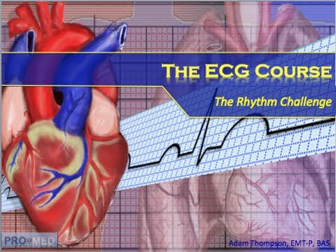 The Rhythm Challenge