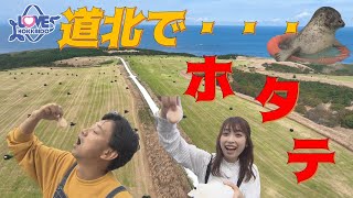 Download lagu 【公式】『道北ドライブ旅・猿払村でホタテ三昧！』 LOVE HOKKAIDO #492 2023/10/28（土）放送 mp3