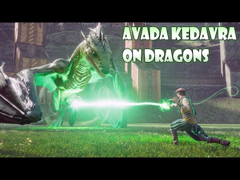 Can Avada Kedavra Kill a Dragon? - Hogwarts Legacy