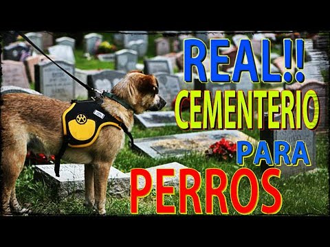 CEMENTERIO PARA PERROS