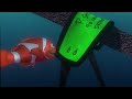 Finding Nemo P10 Viralvideo