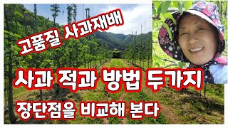 사과적과방법 주의할점 장단점 가위로 손으로 두가지방법 [사과재배]