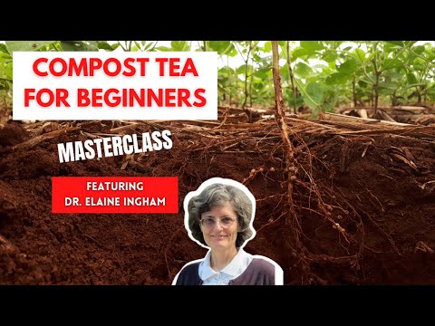 Dr. Ingham's Compost Tea Masterclass: Grow Amazing Plants (Part 2)