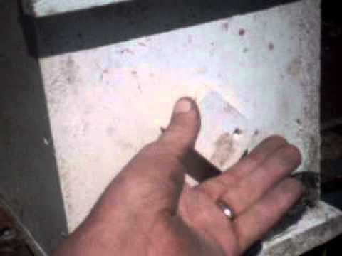 honeybee swarm trapping part 1