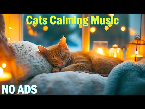 12 Hours of Relaxing Music for Cats💖Soft Music to Soothe Cats🐈🎵Music to Reduce Anxiety in Cats