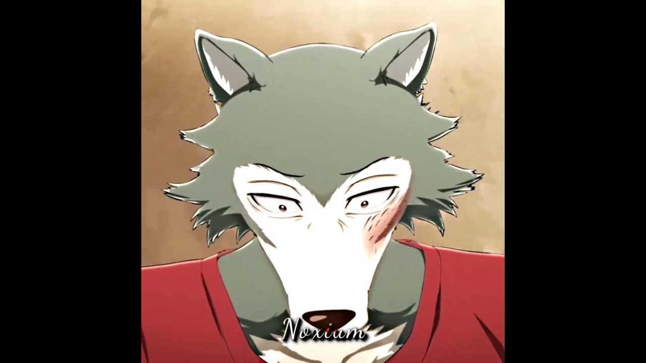 Legoshi Edit | Beastars S3 #edit #beastars #legoshi