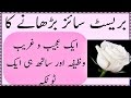 Brest Size Ka Wazifa Brest Size Barhane Ka Wazifa Kamyabi Ka Wazifa