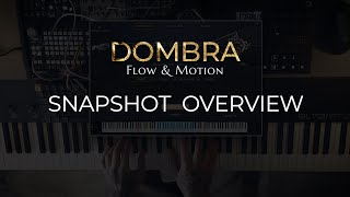 Video thumbnail for Flow & Motion: DOMBRA - Snapshots Overview by Wavelet Audio