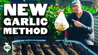 My NEW Favorite Way To Plant Garlic 🧄