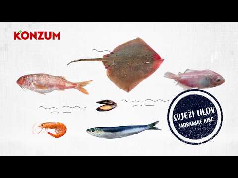 [Najbolje iz Hrvatske] JADRANSKA RIBA