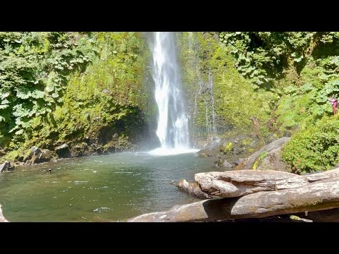 Salto de la China #pucón #chile #salto #cascada #araucania 