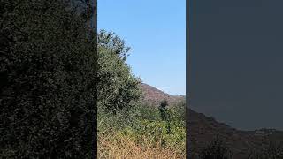 Download lagu Lake Hodges Coast to Crest Trail 7 of 7 helicopters mp3