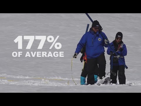 最近の「雪調査」により北カリフォルニアの干ばつ状況は改善