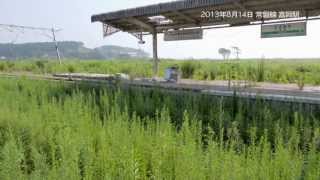 preview picture of video '2013.8.14　福島県双葉郡富岡町の状況'